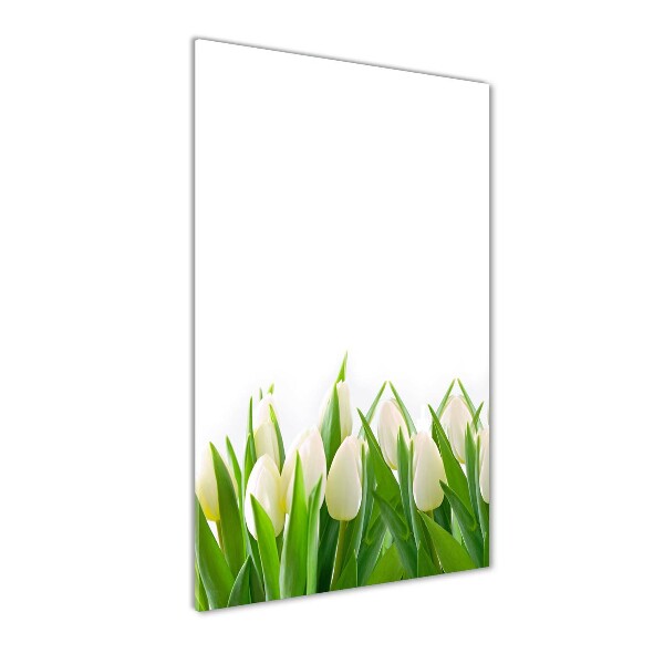 Foto auf glas vertikales Weiße Tulpen
