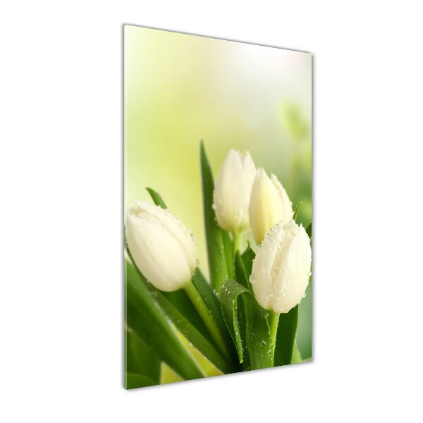 Glasbild vertikales Weiße Tulpen