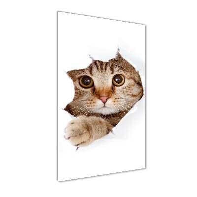Bild aus glas vertikales Katze