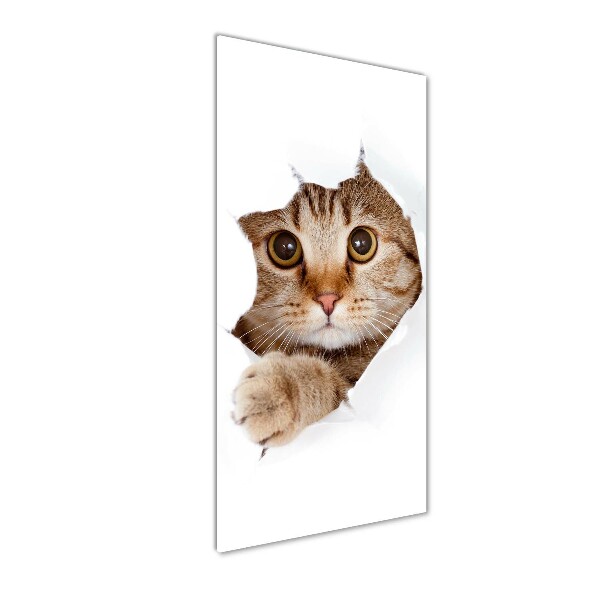 Bild aus glas vertikales Katze