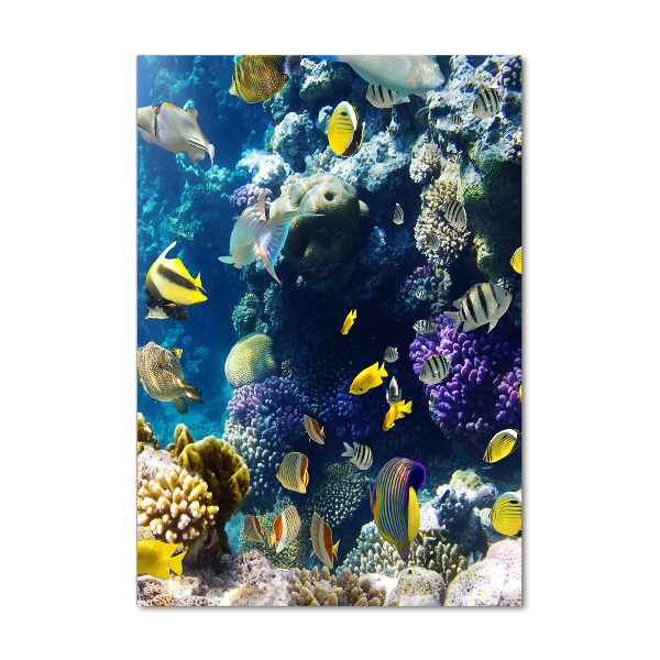 Foto auf glas vertikales Korallenriff