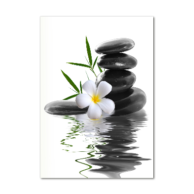 Bild aus glas vertikales Orchidee und Steine