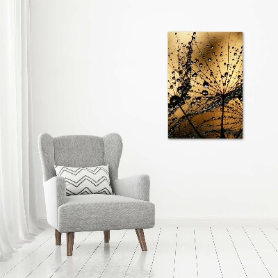 Foto auf glas vertikales Löwenzahnsamen