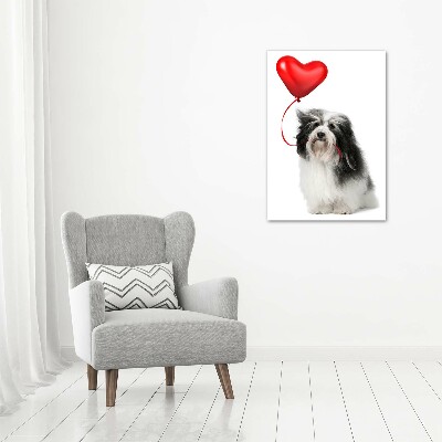 Bild aus glas vertikales Havaneser mit einem Ballon