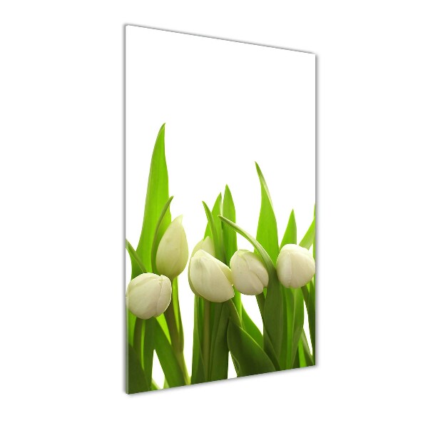Foto auf glas vertikales Weiße Tulpen
