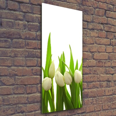 Foto auf glas vertikales Weiße Tulpen