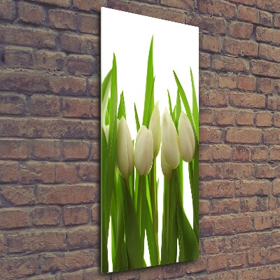 Glasbild vertikales Weiße Tulpen