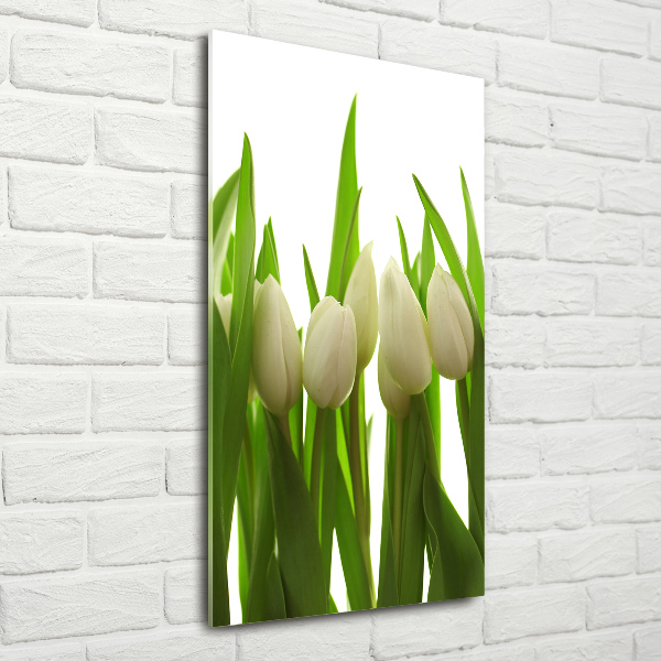 Glasbild vertikales Weiße Tulpen