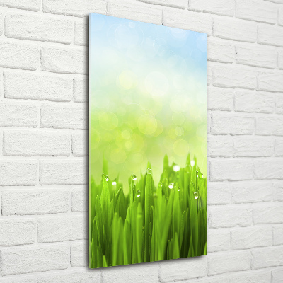 Glasbild vertikales Gras