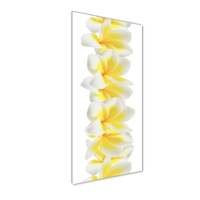 Foto auf glas vertikales Plumeria