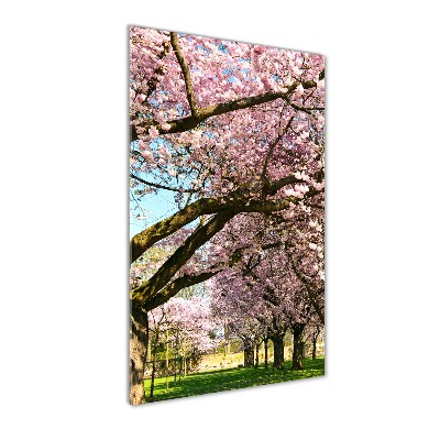 Foto auf glas vertikales Kirschbäume