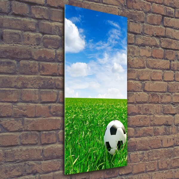 Foto auf glas vertikales Fußball auf der Wiese