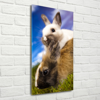 Glasbild vertikales Zwei Kaninchen
