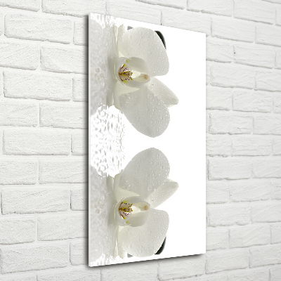 Bild aus glas vertikales Orchidee und Steine