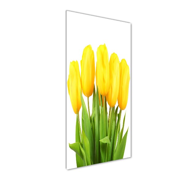 Bild aus glas vertikales Gelbe Tulpen