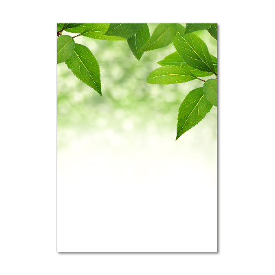 Glasbild vertikales Grüne Blätter
