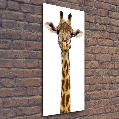 Glasbild vertikales Giraffe
