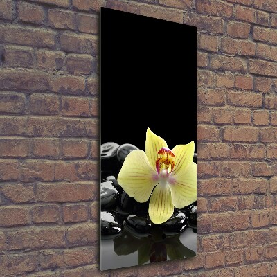 Glasbild vertikales Orchidee und Steine