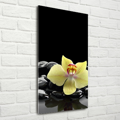Glasbild vertikales Orchidee und Steine