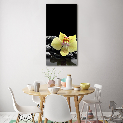 Glasbild vertikales Orchidee und Steine