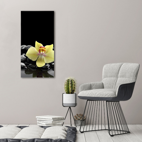 Glasbild vertikales Orchidee und Steine