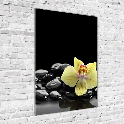 Glasbild vertikales Orchidee und Steine