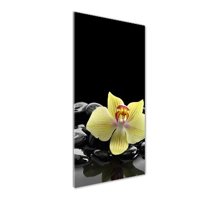 Glasbild vertikales Orchidee und Steine