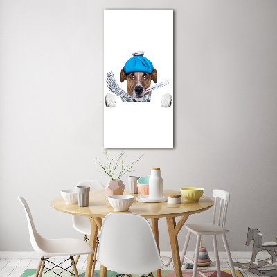 Glasbild vertikales Kranker Hund