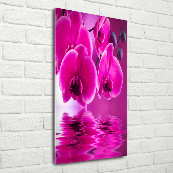 Foto auf glas vertikales Rosa Orchidee