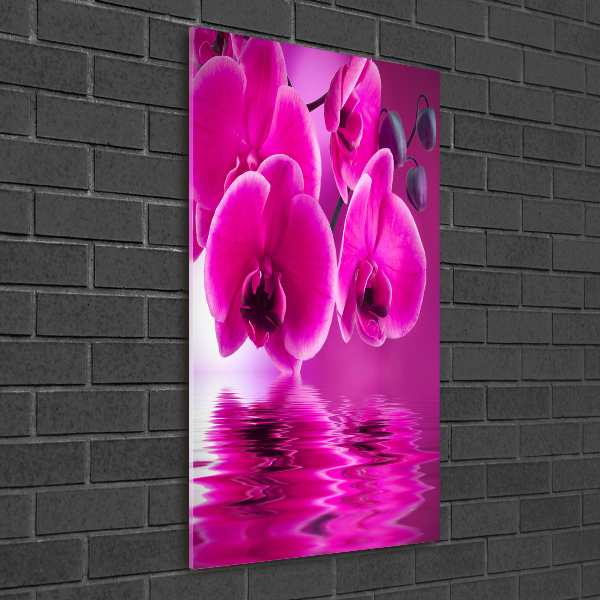 Foto auf glas vertikales Rosa Orchidee
