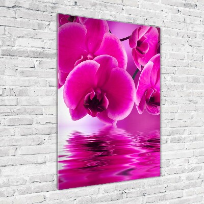 Foto auf glas vertikales Rosa Orchidee