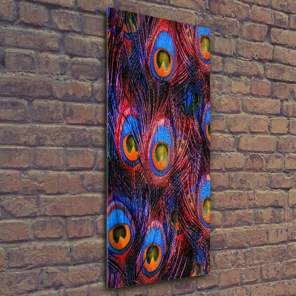 Glasbild vertikales Pfauenfedern