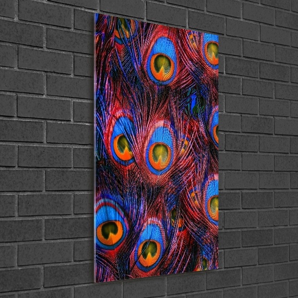 Glasbild vertikales Pfauenfedern