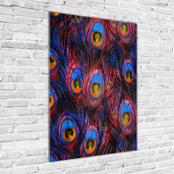 Glasbild vertikales Pfauenfedern