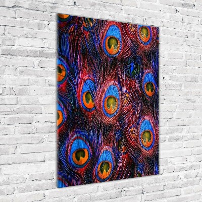 Glasbild vertikales Pfauenfedern