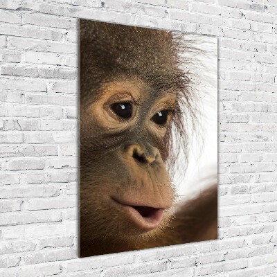 Foto auf glas vertikales Junger Orang-Utan