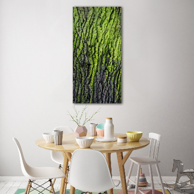 Glasbild vertikales Baumrinde