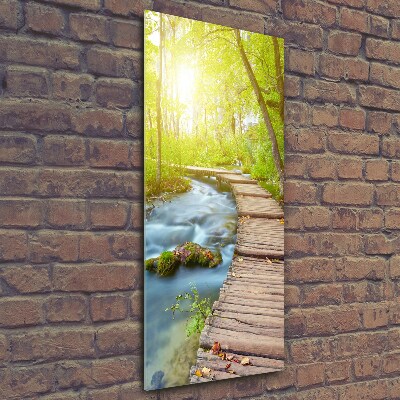 Bild aus glas vertikales Pfad im Wald