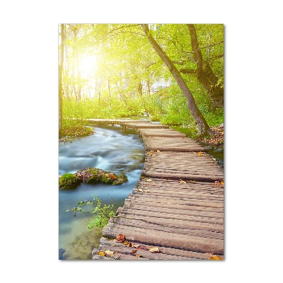 Bild aus glas vertikales Pfad im Wald