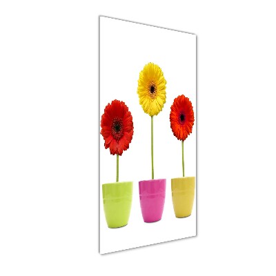 Foto auf glas vertikales Bunte Gerbera