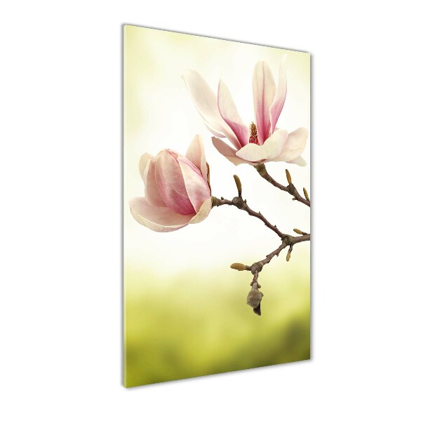 Glasbild vertikales Magnolienblüten