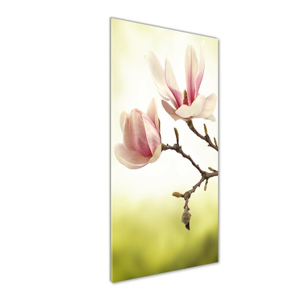 Glasbild vertikales Magnolienblüten