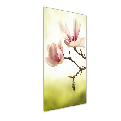 Glasbild vertikales Magnolienblüten