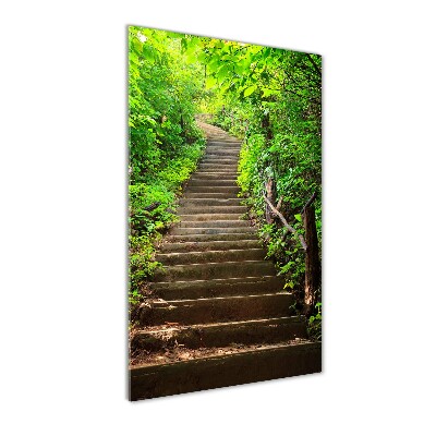 Glasbild vertikales Treppe zum Wald