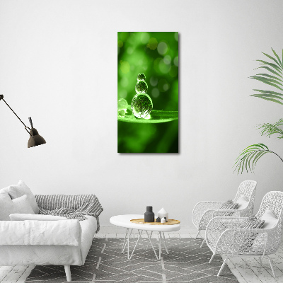 Bild aus glas vertikales Tropfen auf dem Gras