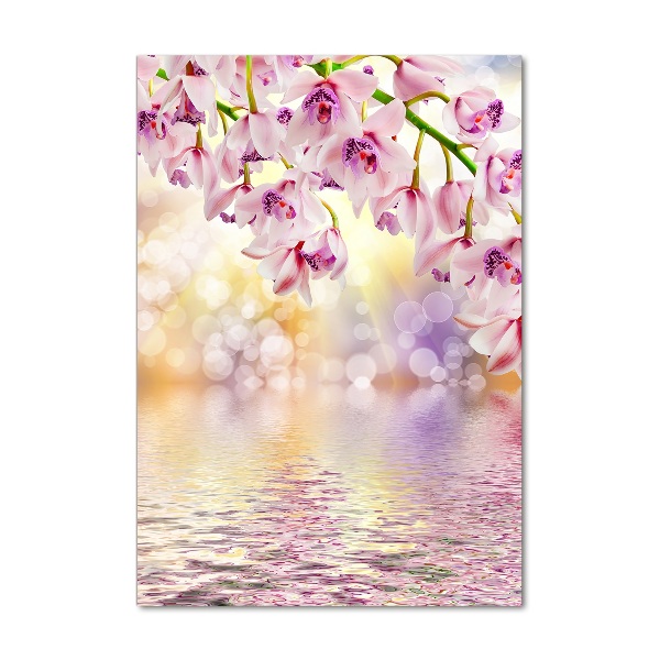 Bild aus glas vertikales Orchidee