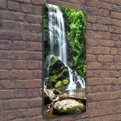 Glasbild vertikales Wasserfall im Dschungel