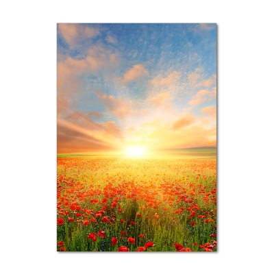 Bild aus glas vertikales Mohnfeld