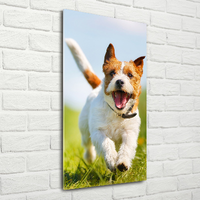 Bild aus glas vertikales Jack Russell Terrier
