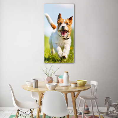 Bild aus glas vertikales Jack Russell Terrier